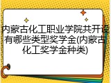 内蒙古化工职业学院共开设有哪些类型奖学金(内蒙古化工奖学金种类)