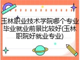 玉林职业技术学院哪个专业毕业就业前景比较好(玉林职院好就业专业)