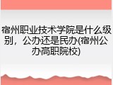 宿州职业技术学院是什么级别，公办还是民办(宿州公办高职院校)