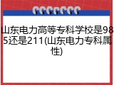 山东电力高等专科学校是985还是211(山东电力专科属性)