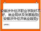 安徽涉外经济职业学院好不好，就业现状及发展趋势(安徽涉外经济就业趋势)
