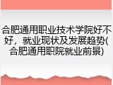 合肥通用职业技术学院好不好，就业现状及发展趋势(合肥通用职院就业前景)