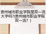 贵州城市职业学院是双一流大学吗?(贵州城市职业学院双一流？)