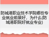 防城港职业技术学院哪些专业就业前景好，为什么(防城港职院好就业专业)