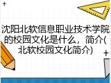 沈阳北软信息职业技术学院的校园文化是什么，简介(北软校园文化简介)