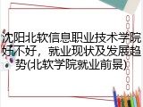 沈阳北软信息职业技术学院好不好，就业现状及发展趋势(北软学院就业前景)