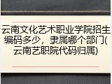 云南文化艺术职业学院招生编码多少，隶属哪个部门(云南艺职院代码归属)