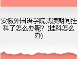 安徽外国语学院就读期间挂科了怎么办呢？(挂科怎么办)