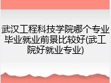 武汉工程科技学院哪个专业毕业就业前景比较好(武工院好就业专业)