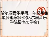 哈尔滨音乐学院一年奖学金最多能拿多少(哈尔滨音乐学院最高奖学金)