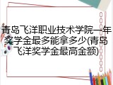 青岛飞洋职业技术学院一年奖学金最多能拿多少(青岛飞洋奖学金最高金额)