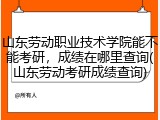 山东劳动职业技术学院能不能考研，成绩在哪里查询(山东劳动考研成绩查询)