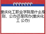 重庆化工职业学院是什么级别，公办还是民办(重庆化工 公办)