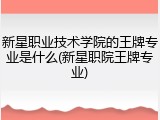 新星职业技术学院的王牌专业是什么(新星职院王牌专业)