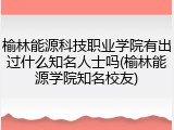 榆林能源科技职业学院有出过什么知名人士吗(榆林能源学院知名校友)