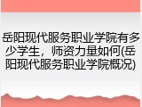 岳阳现代服务职业学院有多少学生，师资力量如何(岳阳现代服务职业学院概况)