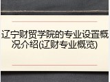 辽宁财贸学院的专业设置概况介绍(辽财专业概览)