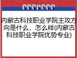 内蒙古科技职业学院主攻方向是什么，怎么样(内蒙古科技职业学院优势专业)