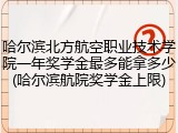 哈尔滨北方航空职业技术学院一年奖学金最多能拿多少(哈尔滨航院奖学金上限)