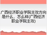 广西经济职业学院主攻方向是什么，怎么样(广西经济职业学院主攻)