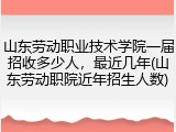 山东劳动职业技术学院一届招收多少人，最近几年(山东劳动职院近年招生人数)