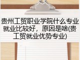 贵州工贸职业学院什么专业就业比较好，原因是啥(贵工贸就业优势专业)
