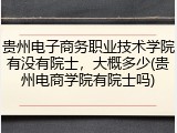 贵州电子商务职业技术学院有没有院士，大概多少(贵州电商学院有院士吗)