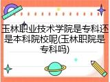 玉林职业技术学院是专科还是本科院校呢(玉林职院是专科吗)