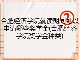 合肥经济学院就读期间可以申请哪些奖学金(合肥经济学院奖学金种类)