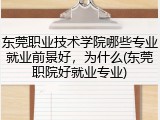 东莞职业技术学院哪些专业就业前景好，为什么(东莞职院好就业专业)