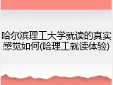 哈尔滨理工大学就读的真实感觉如何(哈理工就读体验)