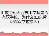 山东劳动职业技术学院是否有双学位，为什么(山东劳职院双学位原因)
