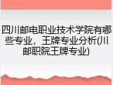 四川邮电职业技术学院有哪些专业，王牌专业分析(川邮职院王牌专业)