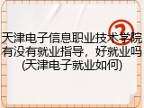 天津电子信息职业技术学院有没有就业指导，好就业吗(天津电子就业如何)