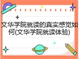 文华学院就读的真实感觉如何(文华学院就读体验)