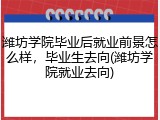 潍坊学院毕业后就业前景怎么样，毕业生去向(潍坊学院就业去向)