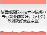 陕西能源职业技术学院哪些专业就业前景好，为什么(陕能院好就业专业)