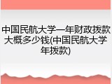中国民航大学一年财政拨款大概多少钱(中国民航大学年拨款)