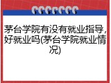 茅台学院有没有就业指导，好就业吗(茅台学院就业情况)