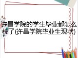 许昌学院的学生毕业都怎么样了(许昌学院毕业生现状)