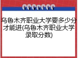 乌鲁木齐职业大学要多少分才能进(乌鲁木齐职业大学录取分数)