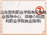 山东胜利职业学院有没有就业指导中心，详细介绍(胜利职业学院就业指导)