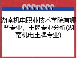 湖南机电职业技术学院有哪些专业，王牌专业分析(湖南机电王牌专业)