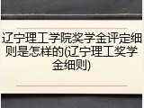 辽宁理工学院奖学金评定细则是怎样的(辽宁理工奖学金细则)