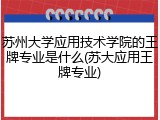 苏州大学应用技术学院的王牌专业是什么(苏大应用王牌专业)