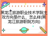 黑龙江旅游职业技术学院主攻方向是什么，怎么样(黑龙江旅游职院方向)