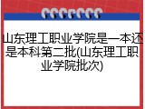 山东理工职业学院是一本还是本科第二批(山东理工职业学院批次)