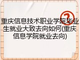 重庆信息技术职业学院毕业生就业大致去向如何(重庆信息学院就业去向)