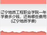 辽宁地质工程职业学院一年学费多少钱，还有哪些费用(辽宁地质学费)
