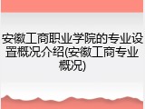 安徽工商职业学院的专业设置概况介绍(安徽工商专业概况)